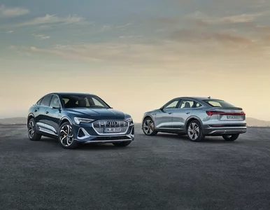 Miniatura: Audi zwalnia. Pracę straci blisko 9,5 tys....