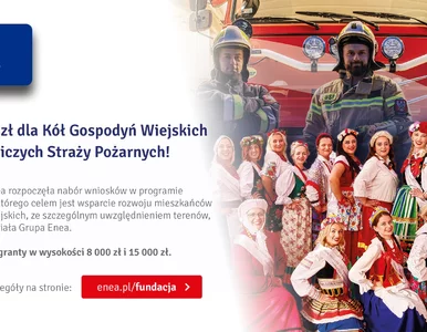 Miniatura: Nowy program grantowy Fundacji Enea: 600...