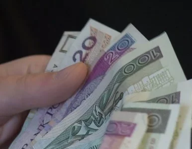 Miniatura: Wyższa płaca minimalna? Przedsiębiorcom to...