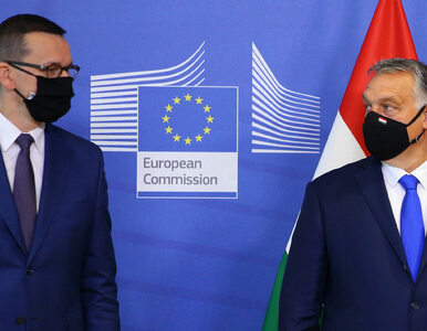 Miniatura: „Wysoki rangą dyplomata UE stawia...