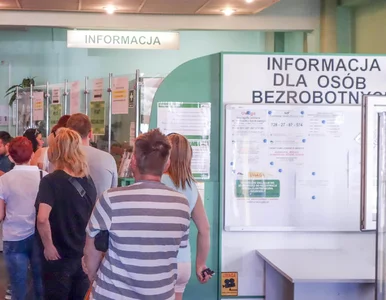 Miniatura: Bezrobocie w Polsce. Są najnowsze dane