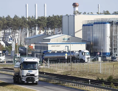 Miniatura: Żyją z pieniędzy Gazpromu, nie chcą...