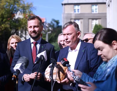 Miniatura: Konferencja PSL zakłócona przez...