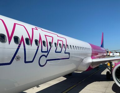 Miniatura: Prezes Wizz Air pytany o sens CPK....