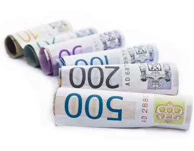 Miniatura: Misja w Mali będzie nas kosztować 300 tys....