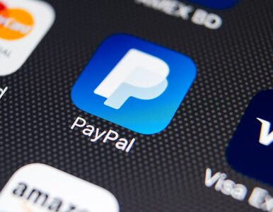 Miniatura: PayPal z zarzutami UOKiK. Chodzi o umowy z...