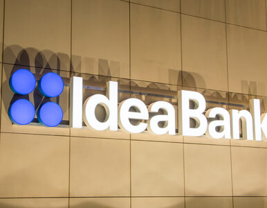 Miniatura: Idea Bank z przymusową restrukturyzacją....