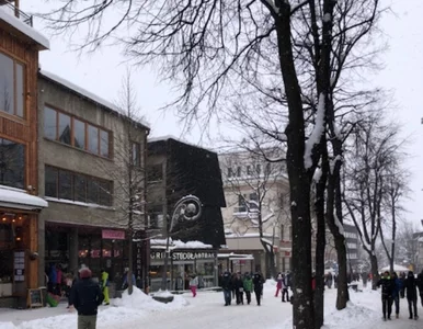 Miniatura: Wściekłe i puste Zakopane. Zimowa stolica...