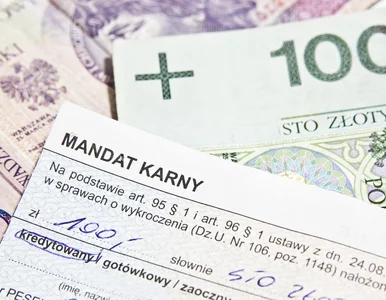 Miniatura: Najniższa krajowa w górę. Razem z nią...