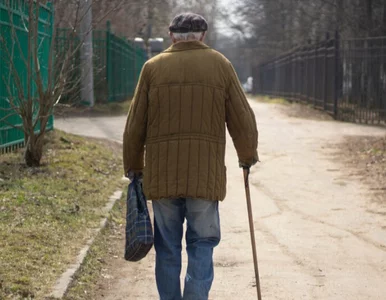 Miniatura: 300+ dla wdowców i wdów? Senatorowie...