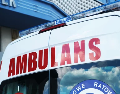 Miniatura: Orlen odpowiada na zarzuty o brak paliwa...