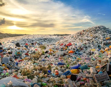 Miniatura: Dyrektywa plastikowa w Polsce coraz...