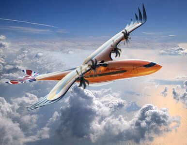 Samolot, który wygląda jak ptak. Airbus zaprezentował potencjalną...
