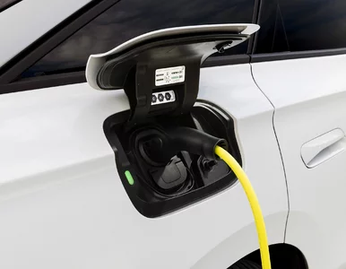Miniatura: Elektryki nie mają łatwo. Różnica w cenie...