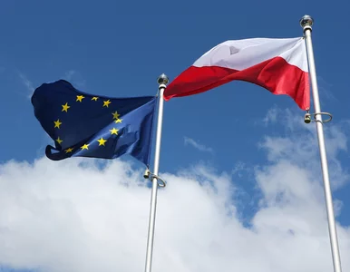 Miniatura: Boimy się migracji i Zielonego Ładu. 20...