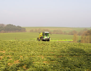 Miniatura: W Polsce masowo wzrasta zużycie pestycydów