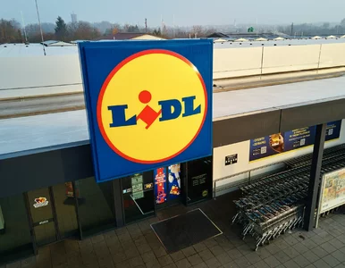 Miniatura: Nadchodzi promocyjny hit. Lidlomix będzie...