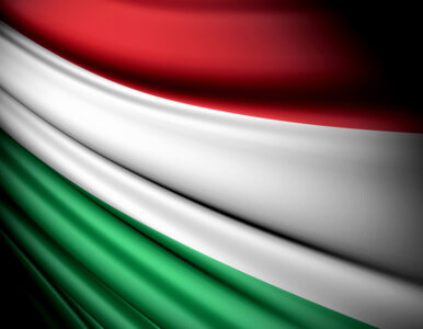 Węgry pod pręgierzem agencji ratingowych