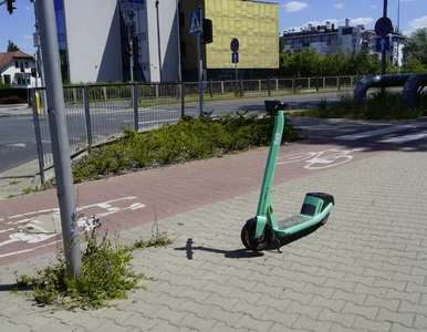 Miniatura: Warszawscy radni powiedzieli „dość”. Te...