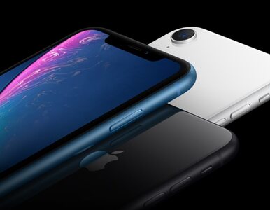 Miniatura: Apple zyska na pandemii? Nowe iPhone’y idą...