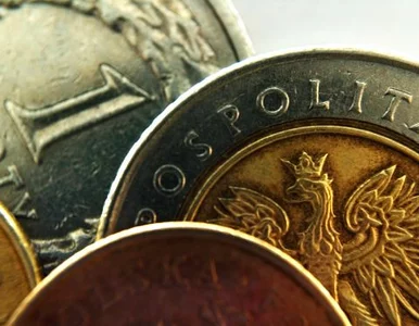 Miniatura: Złoty nadal się umacnia