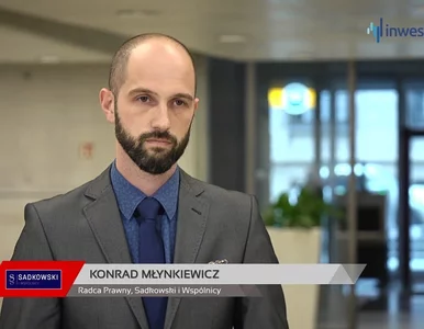 Miniatura: Sadkowski i Wspólnicy, Konrad Młynkiewicz...
