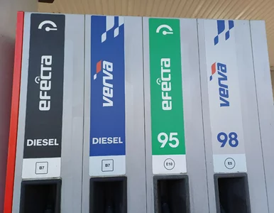 Miniatura: Fiskalny strażnik krytykuje obniżkę cen...