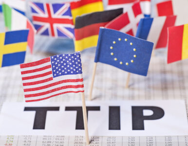 Miniatura: Co dalej z TTIP? Kolejny kraj chce...