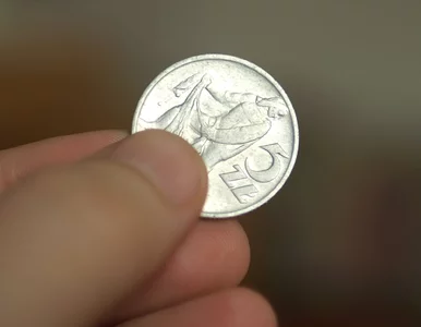 Miniatura: Ponad 7 tys. zł za dawną pięciozłotówkę....