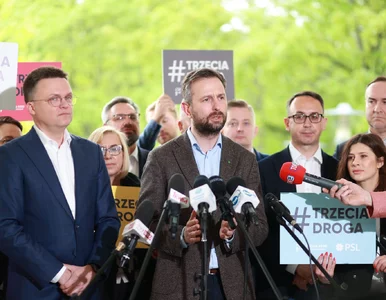 Miniatura: Kosiniak-Kamysz o 800+: Jeżeli...