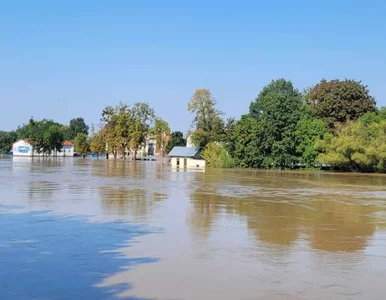 Miniatura: Odszkodowanie za zalanie gruntów. Komu się...