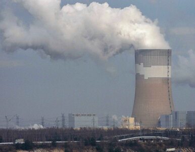 Miniatura: Elektrownie jądrowe w Polsce. Rekordowe...