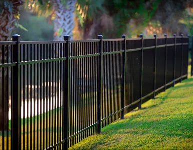 Miniatura: Tego nie możesz wystawić przed domem....