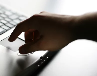 Miniatura: Polacy zbadają internet w Belgii i...