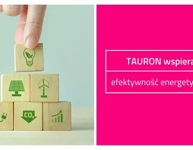 Miniatura: Milion oszczędności w firmach. TAURON...