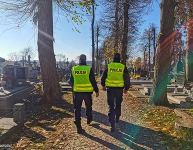 Miniatura: Nie rób tego na cmentarzu. Kara to nawet 5...