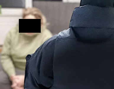 Miniatura: Działali jak międzynarodowa mafia z...