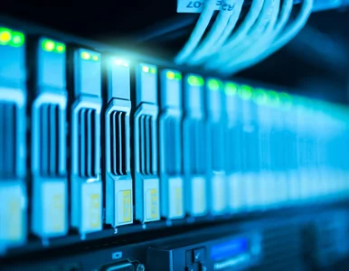 Miniatura: System ERP w polskich przedsiębiorstwach