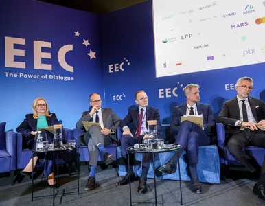 Miniatura: Miliardy na energetykę. Banki kluczowym...