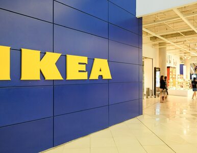 Miniatura: Opóźnienia w dostawach IKEA. Sieć wyjaśnia