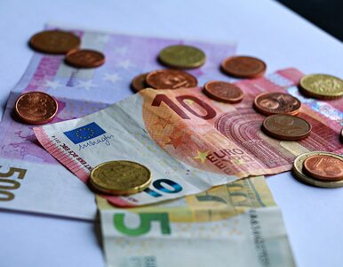 Czy Polska powinna przyjąć euro?