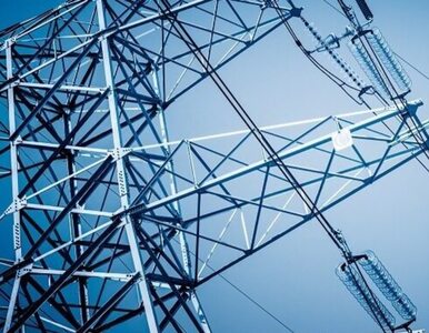 Miniatura: Ile wyniosą taryfy na prąd w przyszłym...