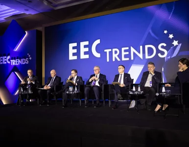 Miniatura: Nowe realia geopolityczne Europy. Szanse...