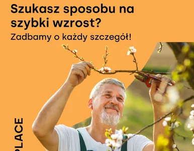 Miniatura: Pozycjonowanie stron i inne drogi promocji...