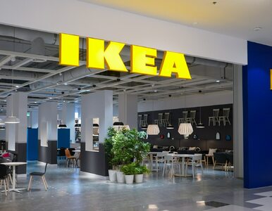 Miniatura: Ikea urządzi wnętrze za darmo? Stworzyła...