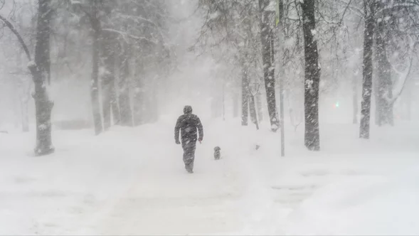 Miniatura: Ci Polacy otrzymali rachunki grozy....