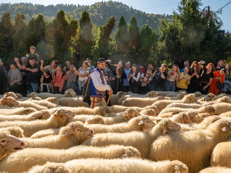 Oscypek sam się nie zrobi. Góralom brakuje juhasów