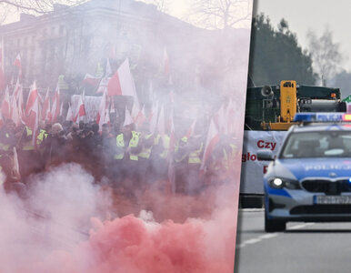 Miniatura: Protest rolników w Warszawie. Nie obyło...