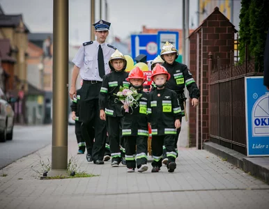 Miniatura: Dziecięce Drużyny Pożarnicze podczas...