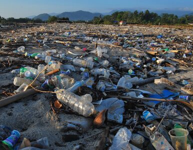 Miniatura: Chiny wypowiadają wojnę plastikowi....